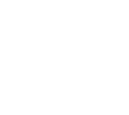 Explainer Videos